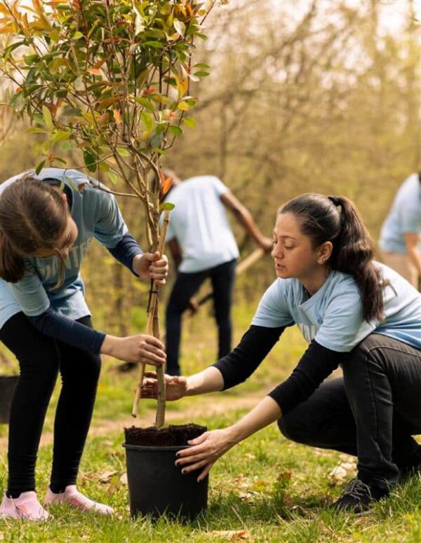 iASYS CSR activity with volunteers planting trees to support environment and society