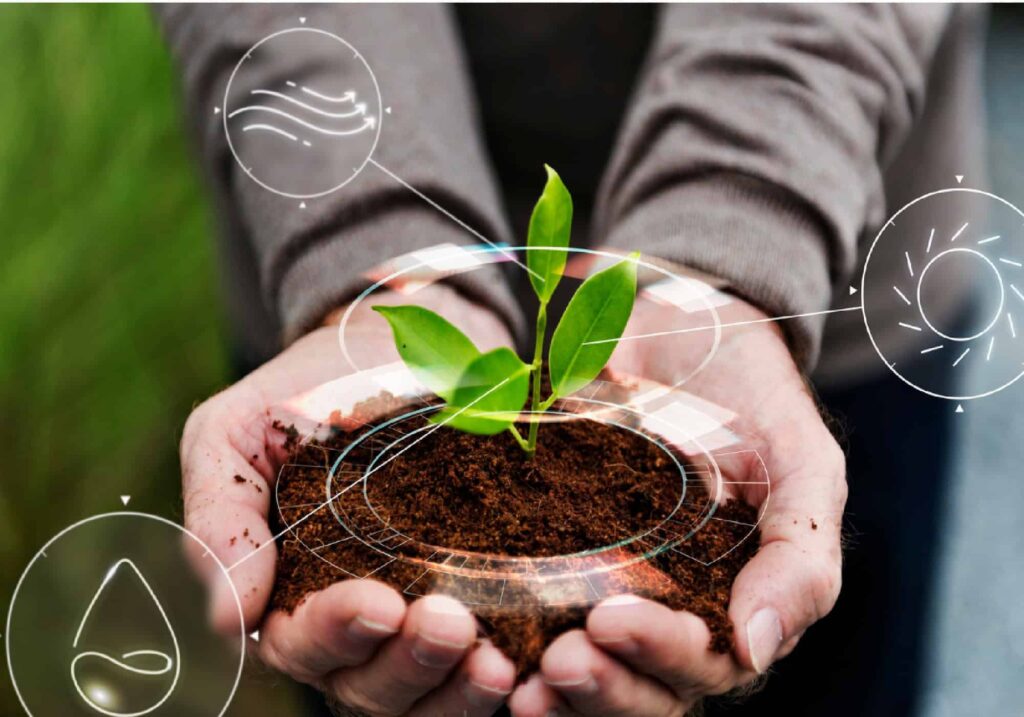 Sustainable innovation and growth